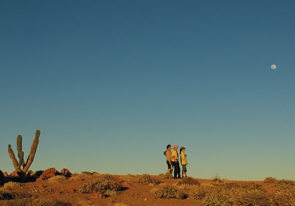 Baja California Sur, Hiking Landscape