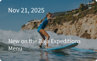 Baja Expedition Newsletter