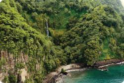 Rain Forest Costa Rica