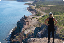 Selfdrive Baja Overlanding